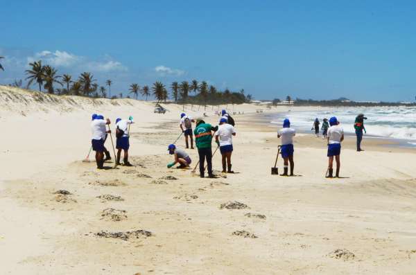 Capacita O Para Volunt Rios Atuarem Nos Mutir Es De Limpeza Das Praias